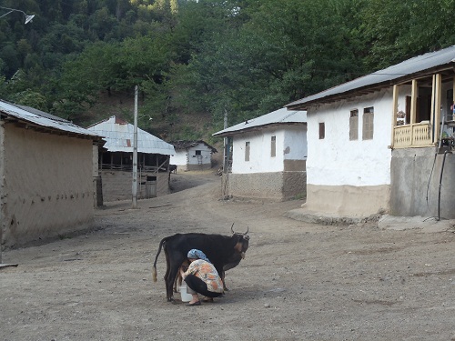 رشته رود گیلان، رشته رود رشت، رشته رود  رودبار، رشته ر ود رستم آباد، رشته رود رستم آباد شمالی، روستای رشته رود رودبار، رشته رود کجاست؟ سفر به رشته رود، مسر ورود به رشته رود گیلان، راه های ورود به رشته رود، جاذبه های دیدنی رشته رود